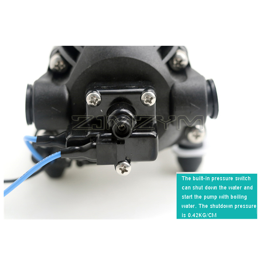 Bezszczotkowy DP-60 wysokociśn – Mini Peristaltic Pump 12V recenzja i cena